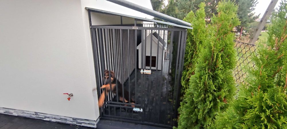 Klatki i kojce dla psów 4x2m