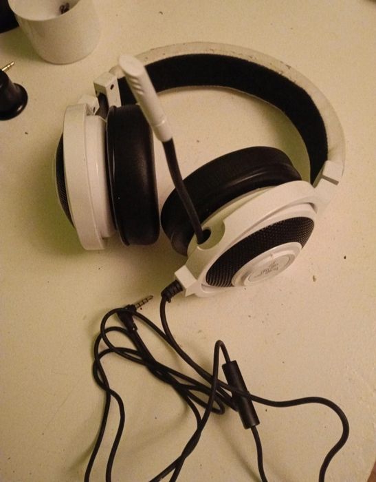 Razer Kraken Pro (RZ04-0138)