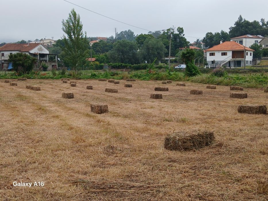 Vendo Fardos Palha deste Ano