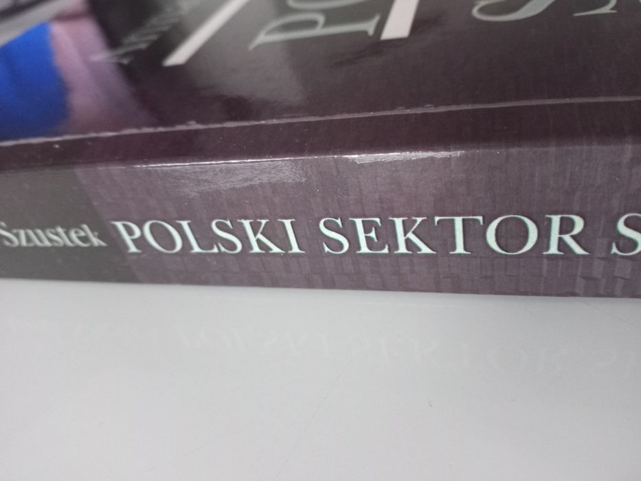 Polski sektor społeczny - Anna Szustek