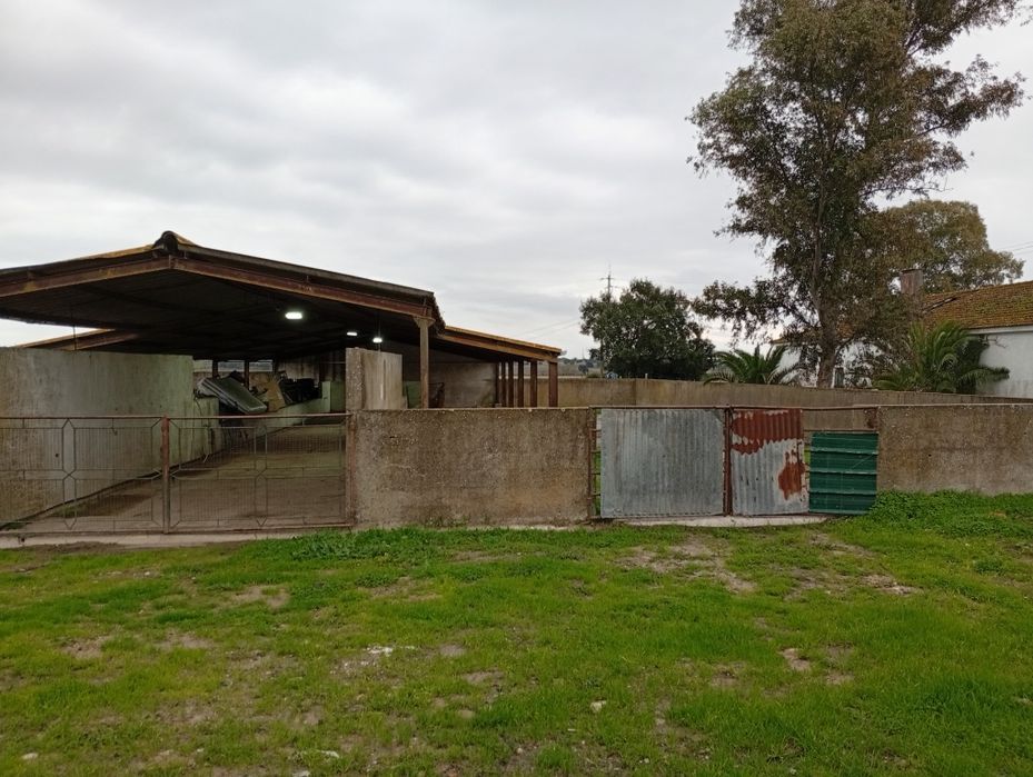 Armazém e Espaço Exterior