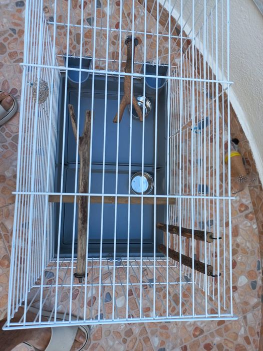 Gaiola grande comp57cm larg 33 altura 52cm