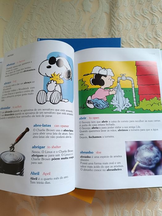 O Dicionário de Charlie Brown