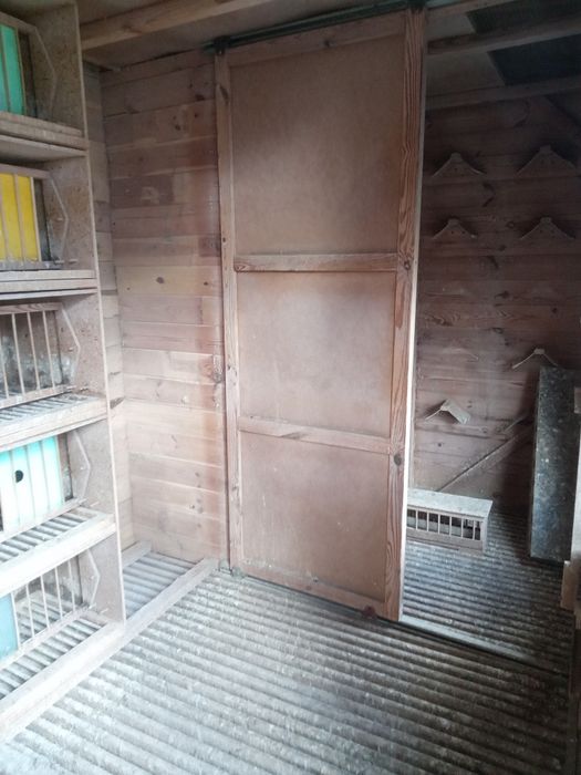 Gołębnik lotowy 5x2m gołębie pocztowe