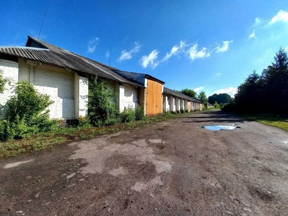 Продаж БЕЗ% земельної ділянки с.Озеряни, Рівненська обл.