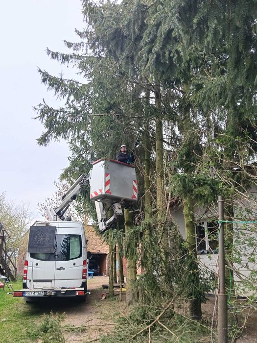 Monitoring • Oświetlenie • Malowanie • Mycie