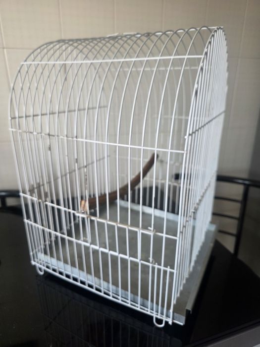 Gaiola para aves