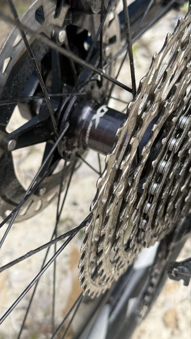 Rocky Mountain Altitude L