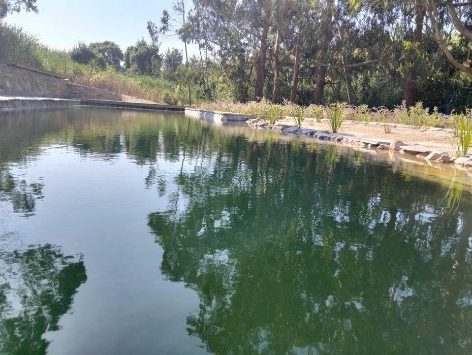 Piscinas Naturais – Projeto Personalizado