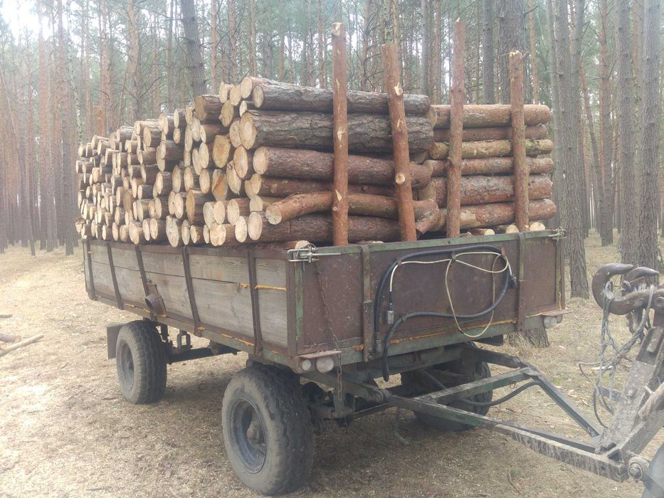 Sprzedam drewno opał