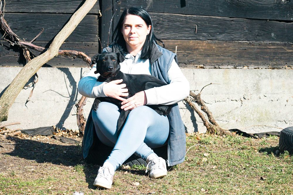 Luiza - niewielka sunia szuka domu