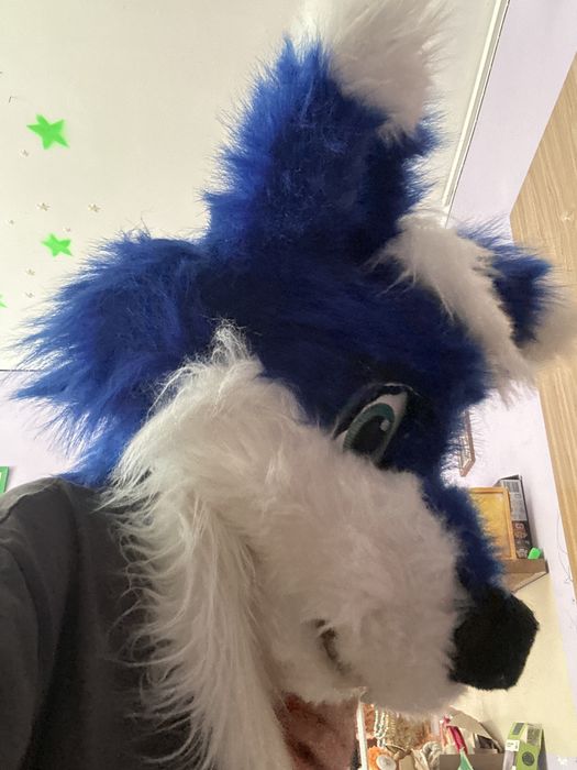 Furry fursuit pies