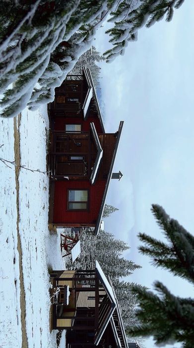 Будинок в Карпатах біля Буковелю. Яблуниця. Продаж дуплекса 2 в 1