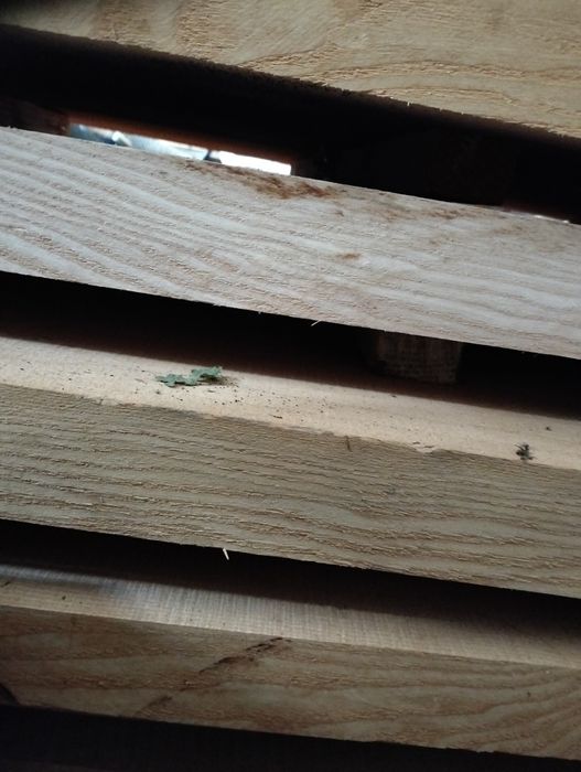 Deski brusy jesionowe bez kory - po suszeniu,  schody, parapety itp