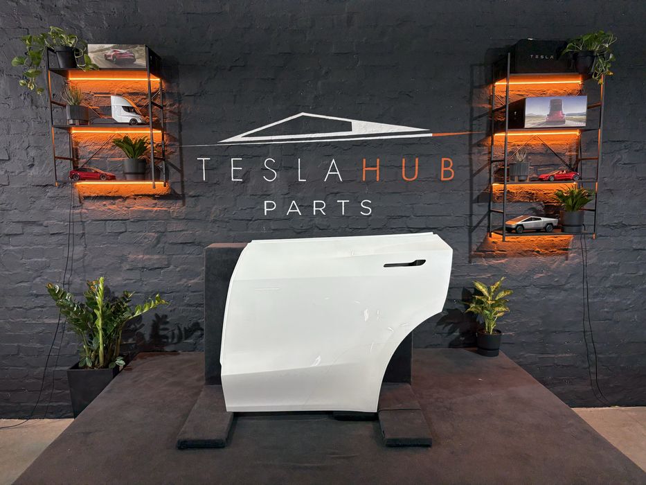 Двері задні ліві Tesla Model Y PPSW Ідеал