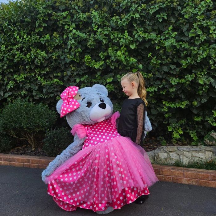 Експрес привітання Мішки Тедді