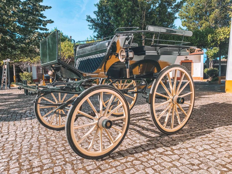 Charrete de cavalos - Break