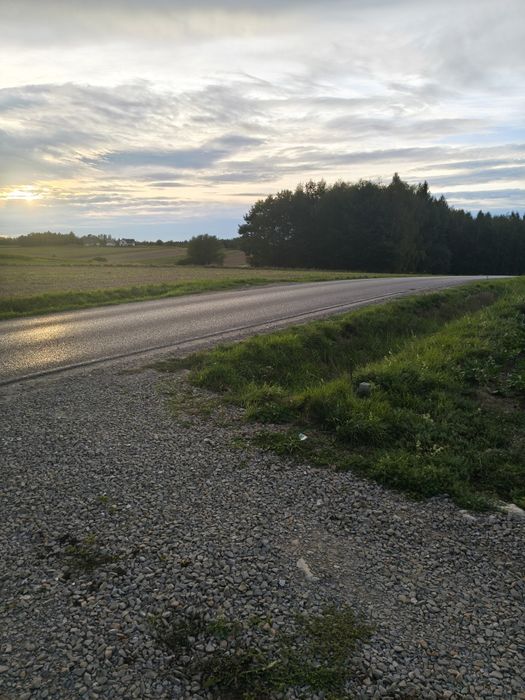 Działka 20 ar widokowa pod dzialalność gospodarczą - Widok 2