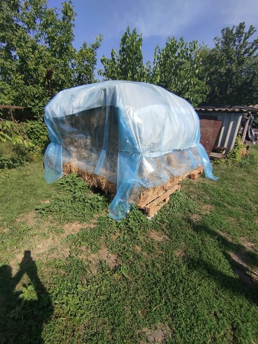 Продам сіно в тюках