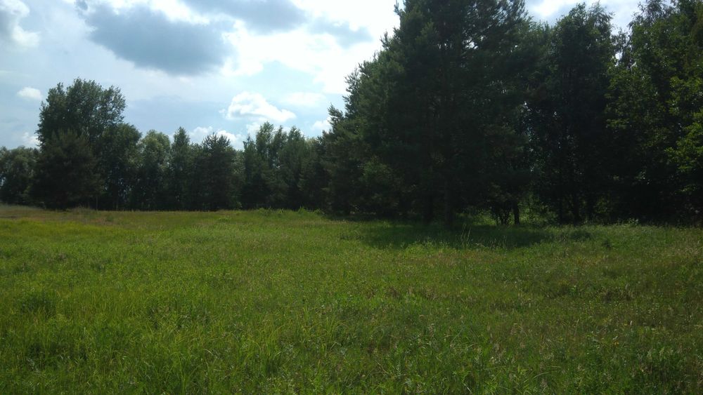 Sprzedam działkę o powierzchni 3500m2