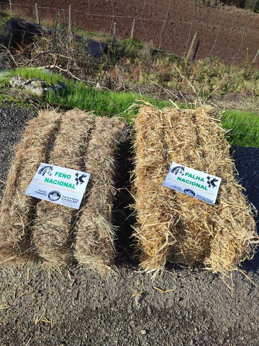 Fardos Palha/Feno