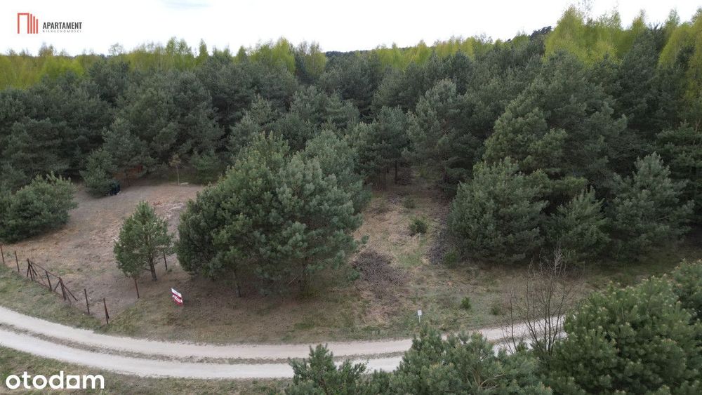 Bory Tucholskie – działka 1195 mkw pod budowę domu