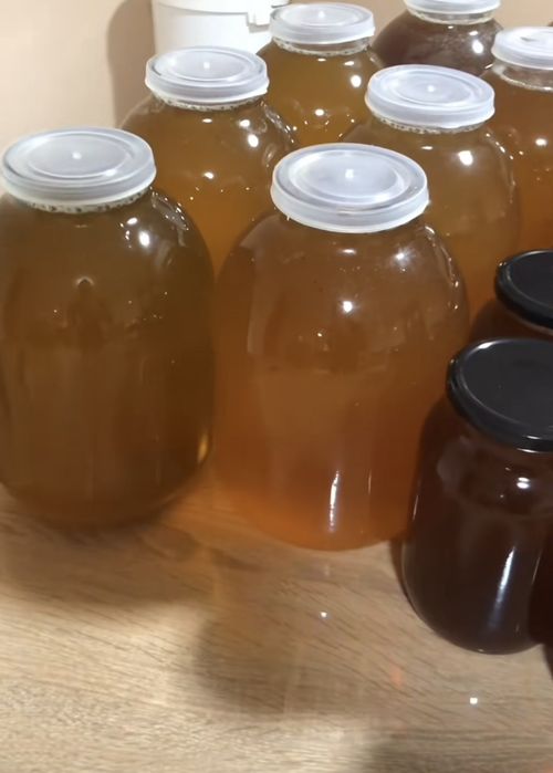 Натуральний Акацієвий мед та Соняшниковий з власної пасіки  2025 року