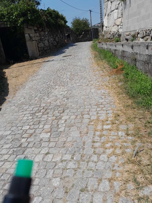 Moradia rústica em ruinas com logradouro e espigueiro