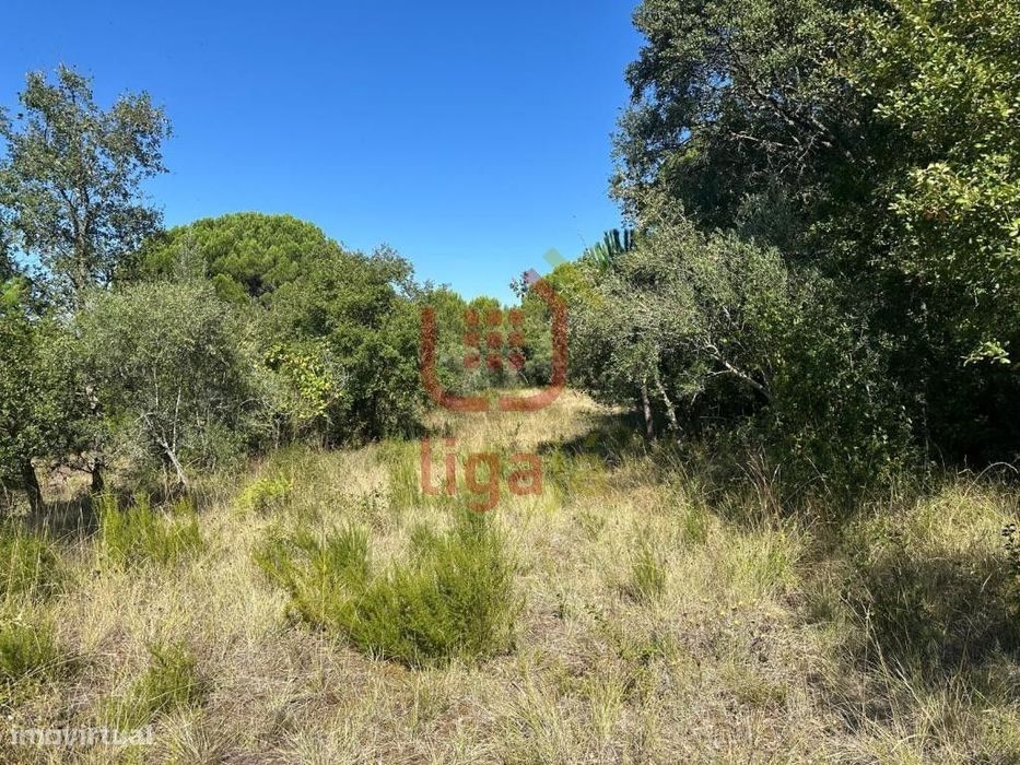 Terreno com Viabilidade de Construção - Ourém!64168411013633123