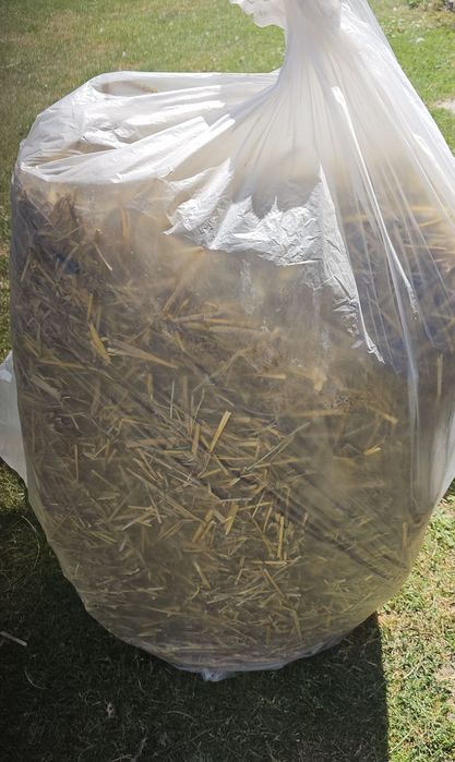 Świeża słoma w kostkach Zabrze-Grzybowice pakowane w worki