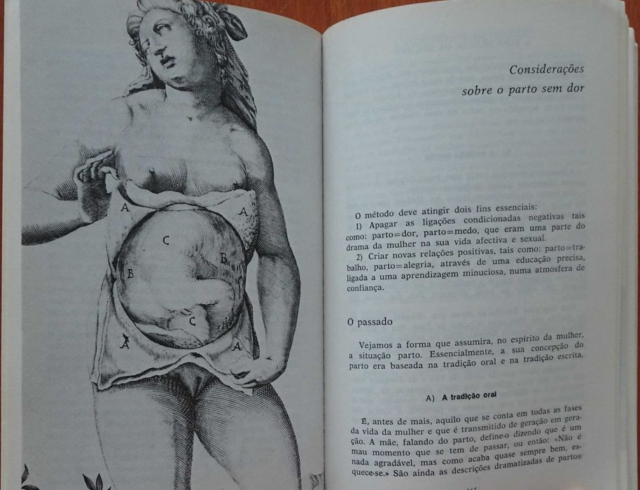 A Vida Sexual da Mulher
