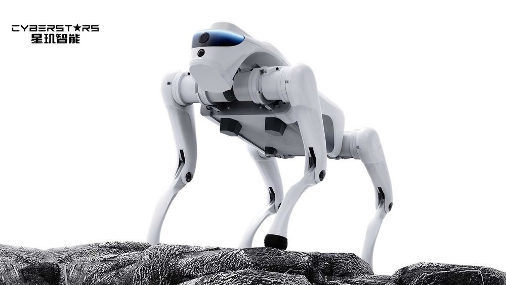 ROBOT pies Cyber 1 (dostępne kolory - BIAŁY lub SZARY, wersja DEV) - dostępne od ręki