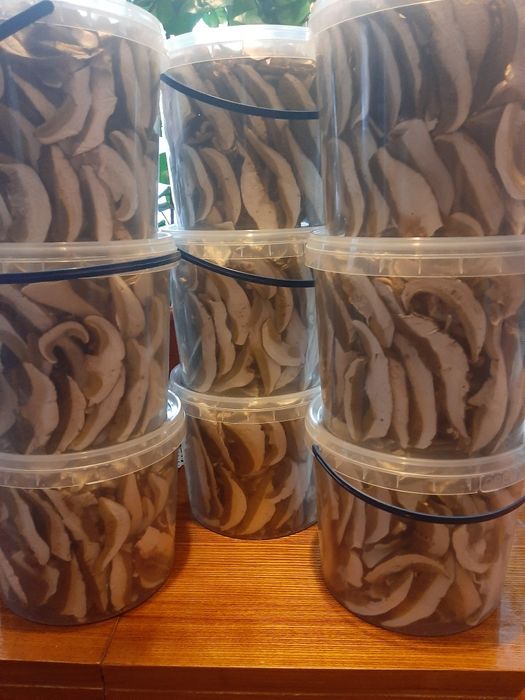 грибы белые сушеные без песка Закарпатья