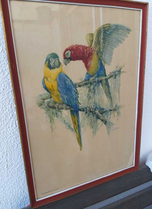 Vintage paintings 0.52x0.37 m with bird themes