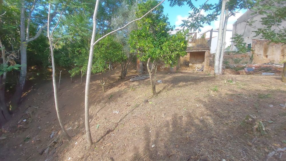 Terreno com casa em ruinas
