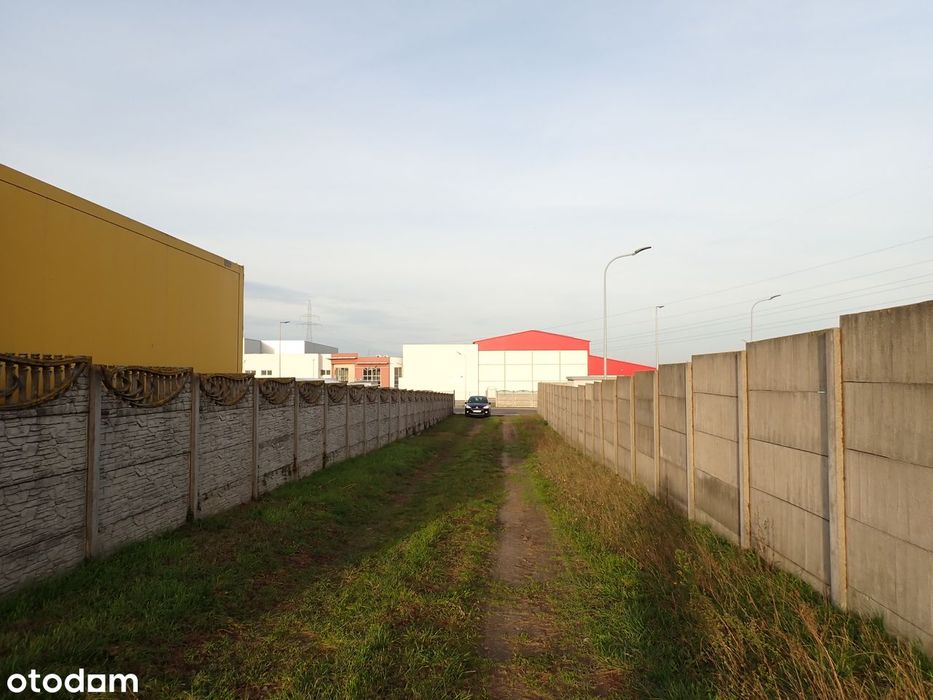 Widziszewo 22.957 mkw, zab: Mieszkaniowa, Usługi, Produkcja - Więcej