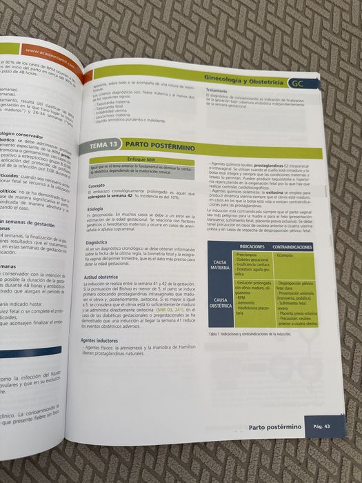 Manual AMIR Ginecologia y Obstetrícia