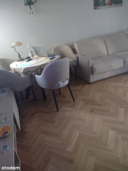 Przestronne mieszkanie z ogródkiem i tarasem
Bez pośredników