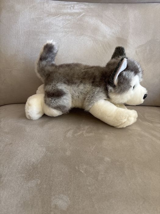 Śliczna maskotka szczeniak husky długość ;34cm