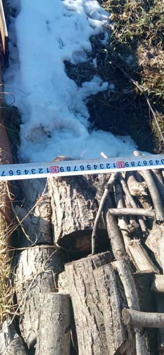 Продам дрова з горіха