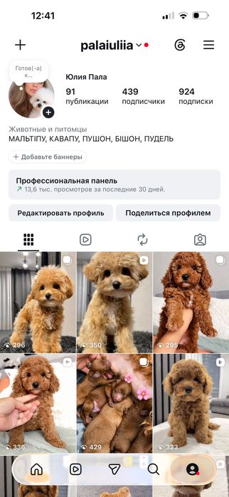 Лялькові мальтіпушки