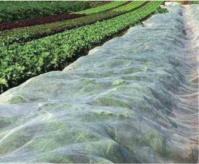 Agrotkanina biała 12,6x100 p-30 zimowa wzmacniane brzegi