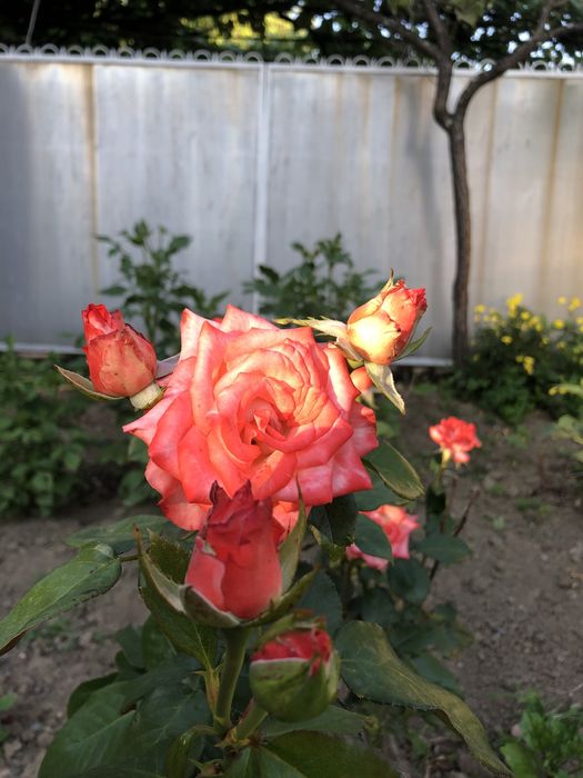 Продається Будинок,є рибник,поруч гори,красива природа