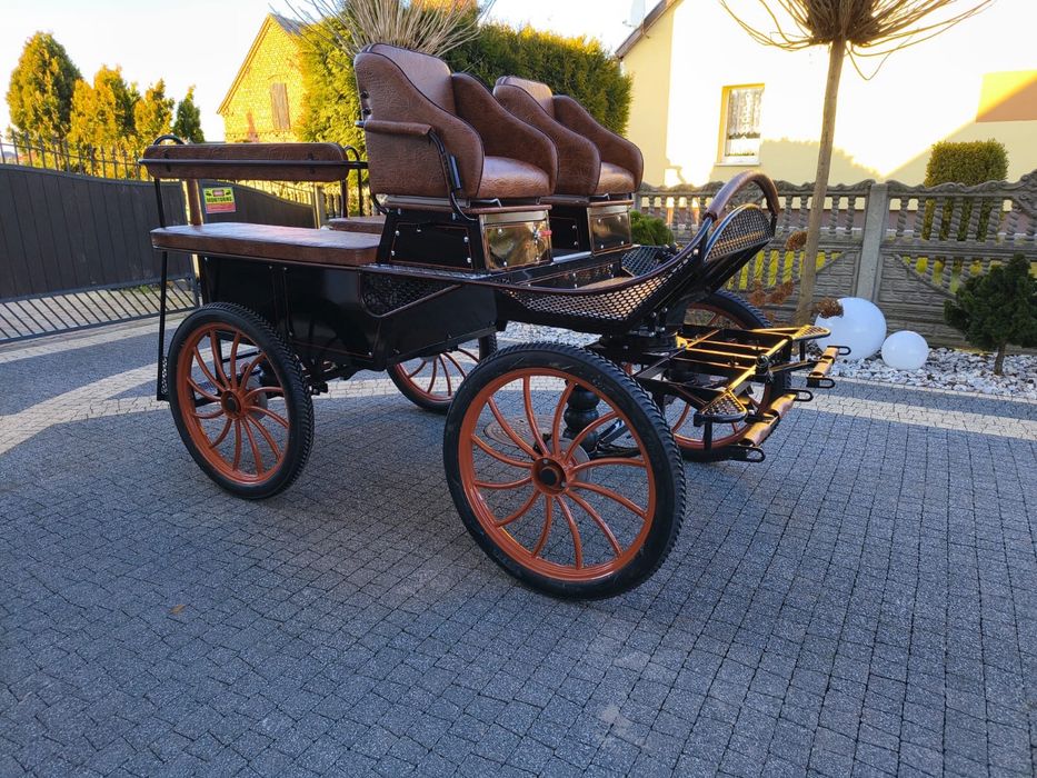 Bryczka konna wagonetka treningowa