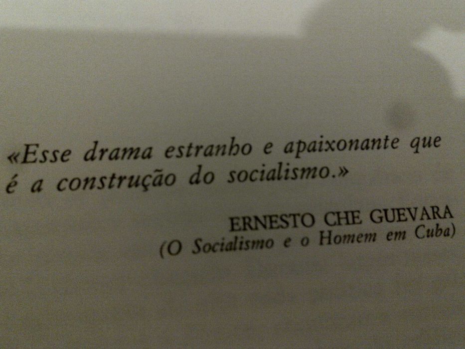 o socialismo, a transição e o caso português (joão martins pereira)