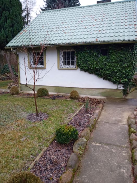 Sprzedam działkę rekreacyjną ROD Hutnik w Kulowie 5ar numer 469