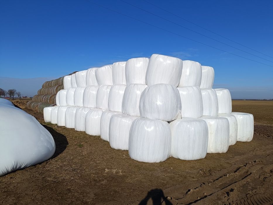 Sprzedam Siano kiszonka 125