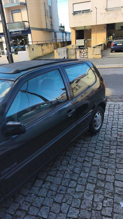 Polo 96 muito estimado