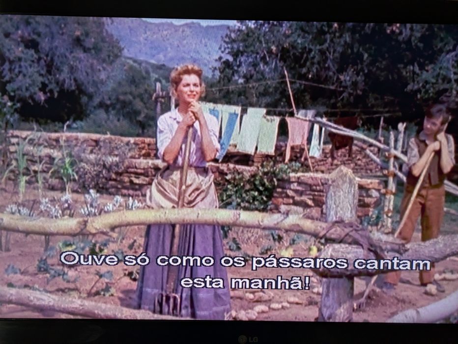 DVD " O Rapaz e o Cão | O Fiel Amigo " (Opt. Estado) 1957