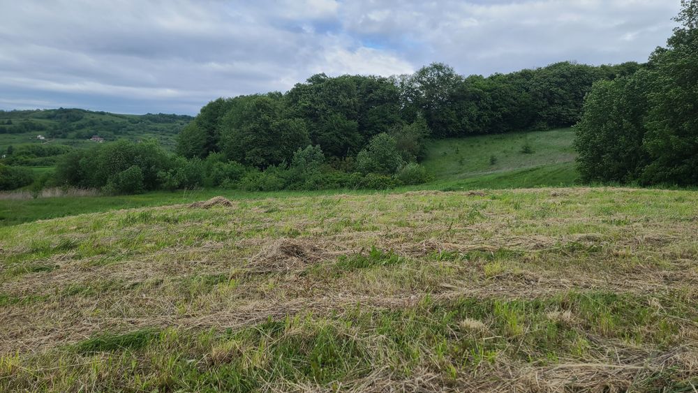 Продам земельну ділянку під лісом, біля озера